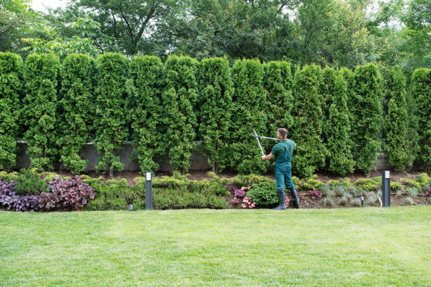 Best Lawn Edging Services  in Mosinee, WI